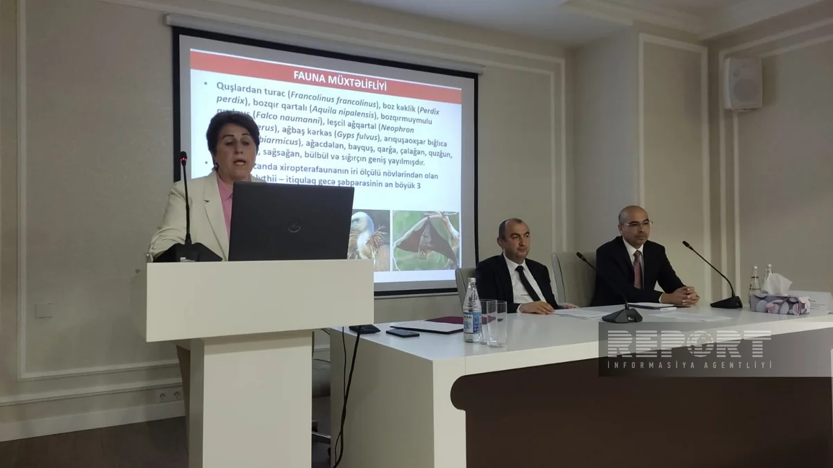 AMEA-nın vitse-prezidenti: Qarabağda çoxlu sayda faydalı bitkilər var