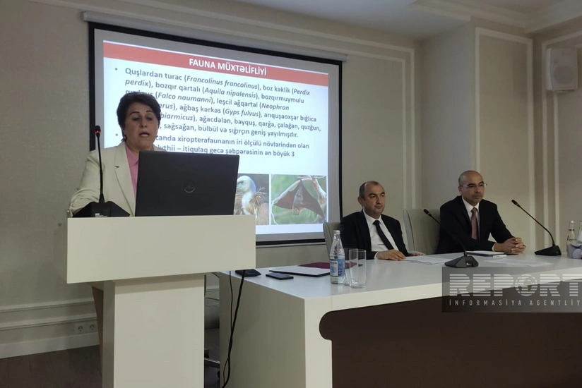 AMEA-nın vitse-prezidenti: Qarabağda çoxlu sayda faydalı bitkilər var