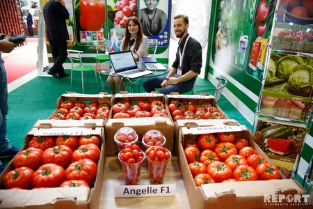 “WorldFood Azerbaijan 2018 və “IPACK Caspian 2018” sərgilərindən - FOTOREPORTAJ
