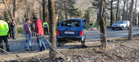 В Шеки автомобиль врезался в дерево, есть пострадавшие