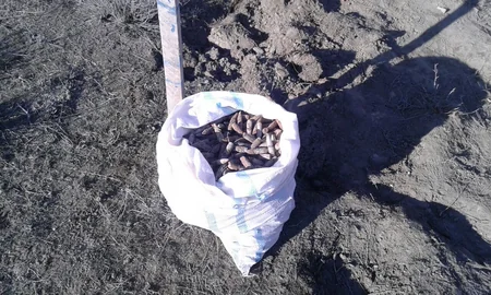 Ağstafada 517 ədəd müxtəlif növ partlamamış hərbi sursat aşkar olunub