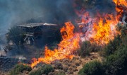 Forest fire breaks out in Türkiye’s Balikesir Province