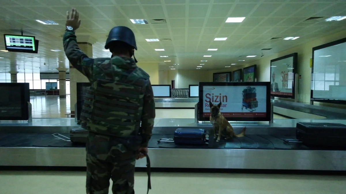 Aeroportda “partlayıcı maddə” barədə şərti məlumata əsasən əməliyyat simulyasiya edilib - TƏLİM