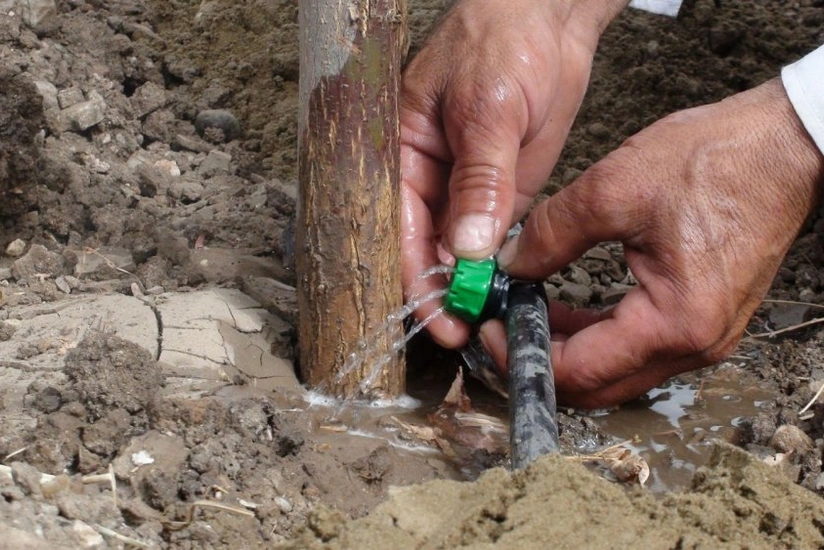 “Aqrolizinq” damcılı suvarma sistemləri alır