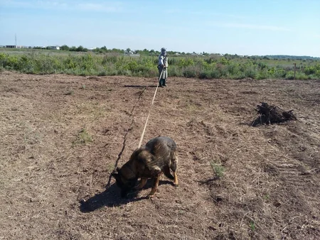 Cocuq Mərcanlı kəndində piyada və tank əleyhinə mina aşkarlanıb