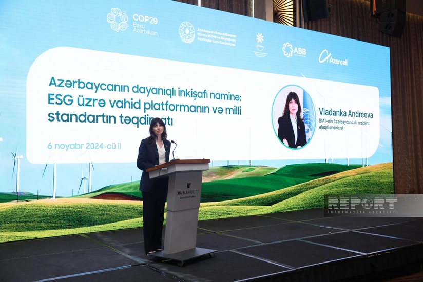 Vladanka Andreeva: COP29 to be key platform for sustainable dev't till 2030