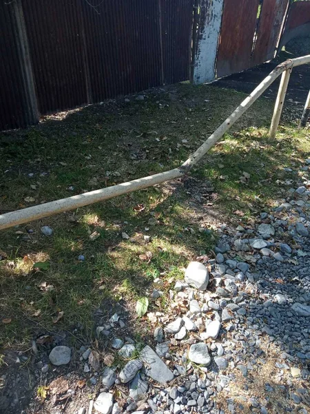 Şəkidə ağacın qaz xəttinin üzərinə aşması 500 abonenti qazsız qoyub