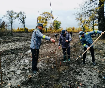 Azərbaycan Türkiyənin aksiyasına qoşulub