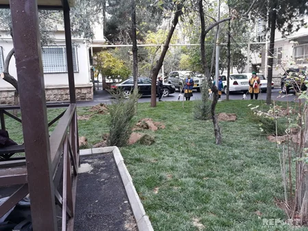 BŞİH: Bakının bütün rayonlarında abadlaşdırma işləri davam etdirilir