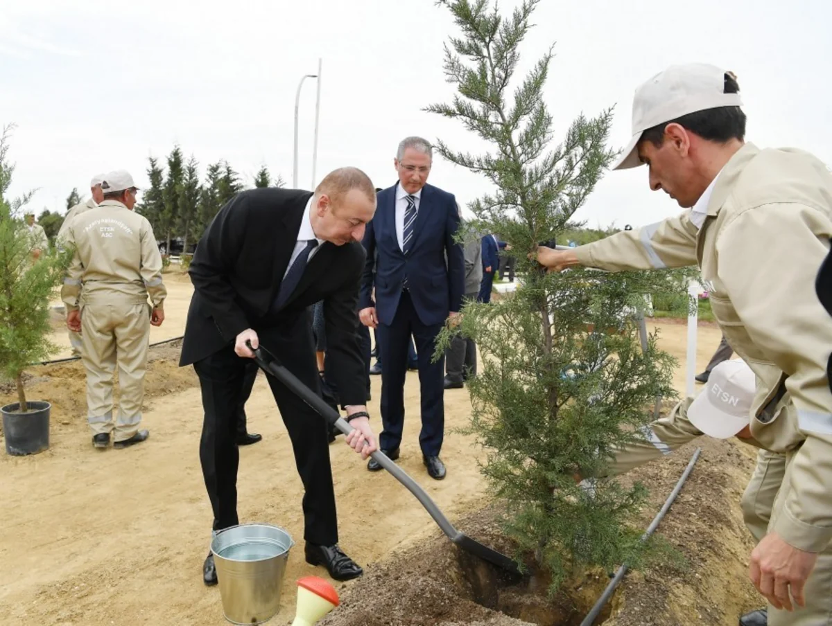 Prezident İlham Əliyev ulu öndər Heydər Əliyevin doğum gününə həsr olunan ağacəkmə aksiyasında iştirak edib - YENİLƏNİB