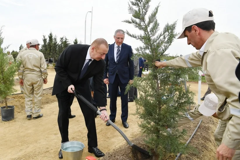 Prezident İlham Əliyev ulu öndər Heydər Əliyevin doğum gününə həsr olunan ağacəkmə aksiyasında iştirak edib - YENİLƏNİB