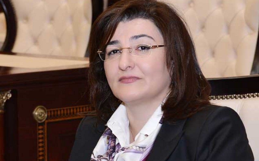 Nazir müavini: Azərbaycanla Fransa arasında geniş iqtisadi münasibətlər mövcuddur