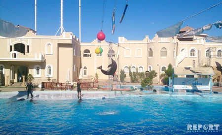 Qırmızı dəniz sahilindəki ecazkar və nadir gülləri ilə məşhur şəhərdən - REPORTAJ