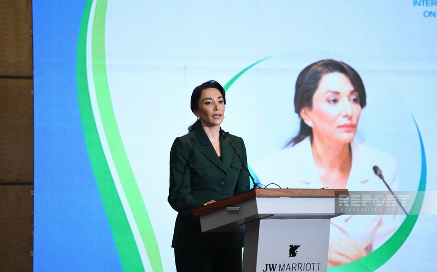 Ombudsmanların Beynəlxalq Bakı Forumu keçirilib - YENİLƏNİB