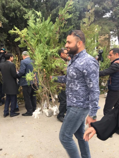 Respublika üzrə ümumilikdə 120 minə yaxın pulsuz ağac tingi paylanılıb