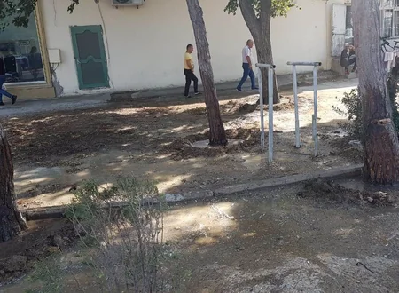 ETSN Yasamalda dibinə maddə tökülən ağacları himayəyə götürüb