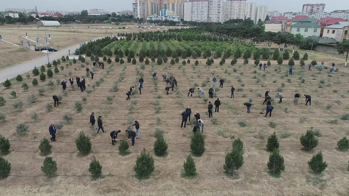 “Azərsu” Heydər Əliyevin 100 illik yubileyi münasibətilə ağacəkmə aksiyası keçirib