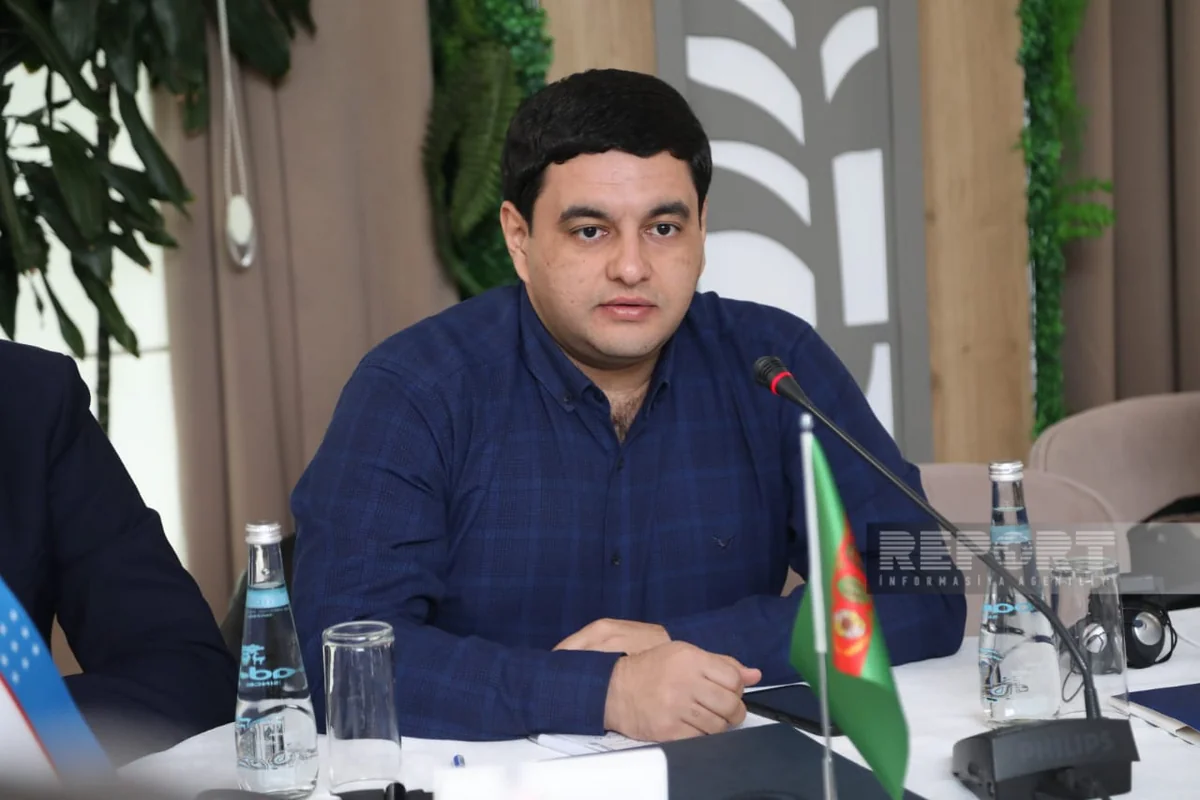 Представитель Туркменистана: Мы готовы работать с каждым из тюркских государств
