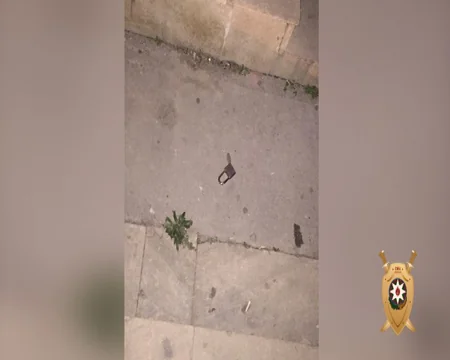 Bakıda aptekdən oğurluq etmək istəyən keçmiş məhkum saxlanılıb - VİDEO - YENİLƏNİB