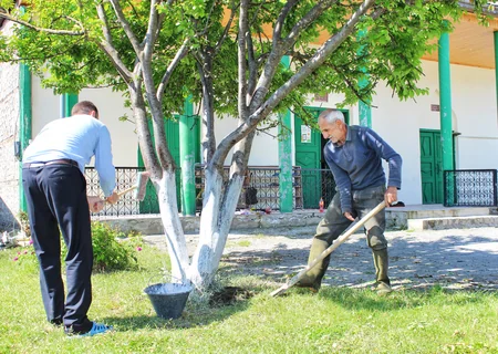 Dini komitə ibadət yerlərində ağacəkmə aksiyası keçirib
