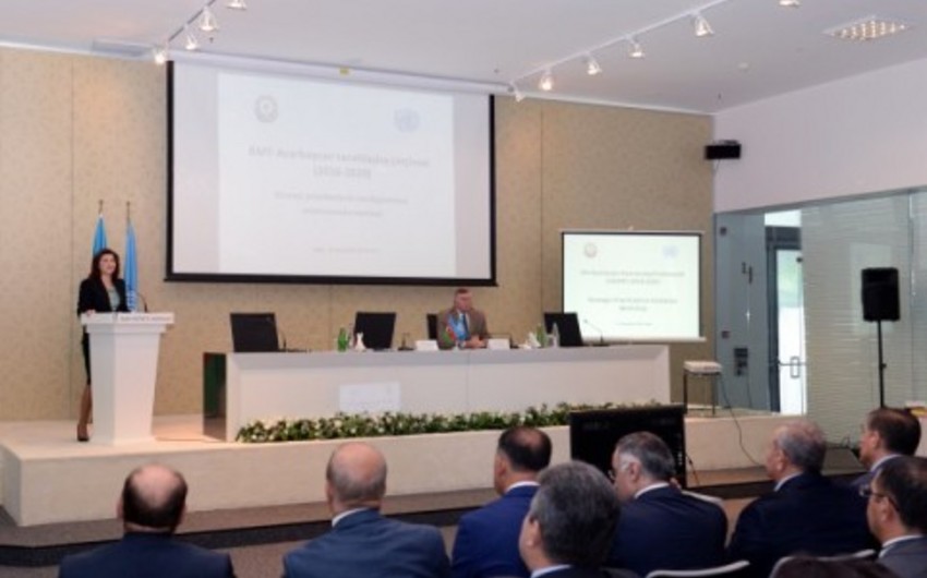 ​BMT və Azərbaycan arasında tərəfdaşlıq strategiyasının prioritet sahələrinin müəyyənləşdirilməsi ilə bağlı konfrans keçirilib
