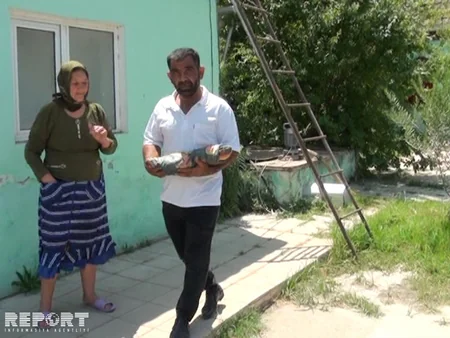​Salyanda doğulan üçəmlərdən sonuncusu dəfn olunub - FOTO