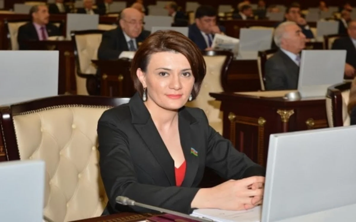 Deputat Ailə, qadın və uşaq məsələləri komitəsinin üzvlüyündən azad edilib
