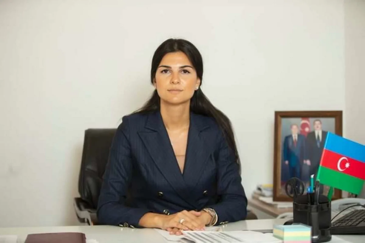 Mədəniyyət Nazirliyində daha bir təyinat