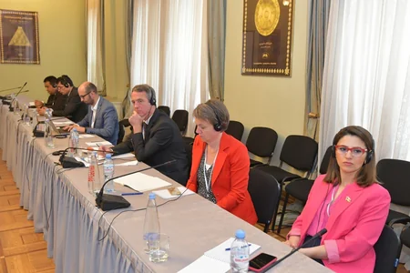 Azərbaycanlı deputat Gürcüstan parlamentində gender bərabərliyi mövzusunda müzakirələrdə iştirak edib