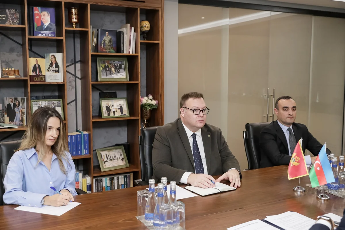 Perişa Kastratoviç: Monteneqro Azərbaycanla əlaqələrin genişlənməsində maraqlıdır