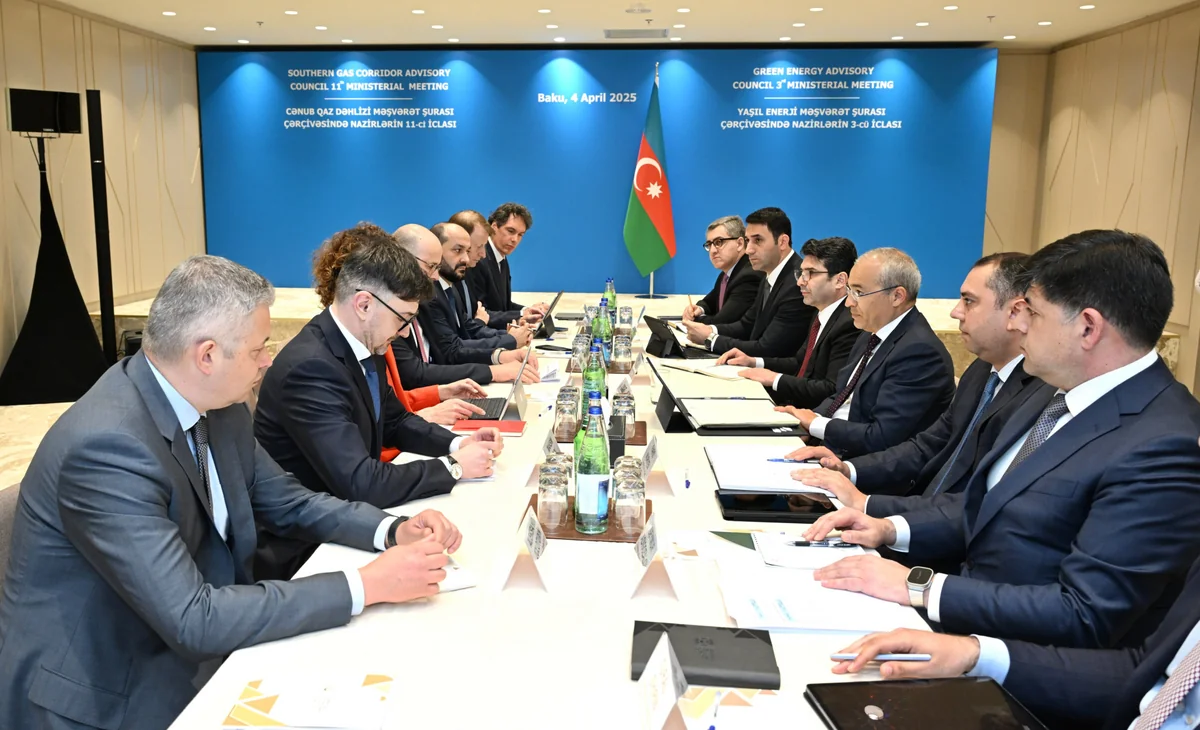 Azerbaijan's Minister of Economy discusses potential projects with German business representatives