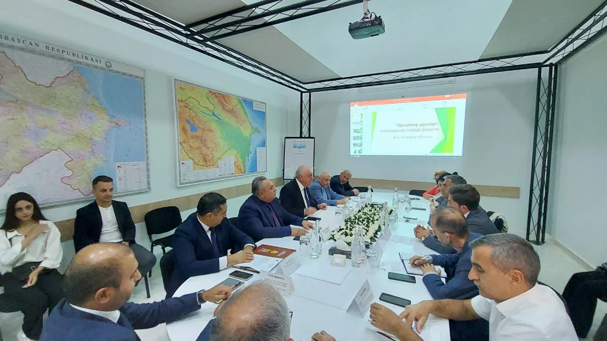 Bakı üzrə 200-dən artıq qurumuş və qəzalı ağacın götürülməsinə dair ictimai dinləmə keçirilib