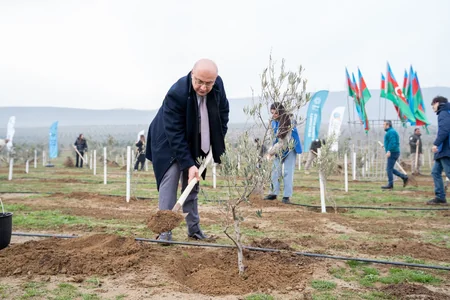“Yaşıl dünya naminə həmrəylik ili”ndə ağacəkmə aksiyaları davam edir