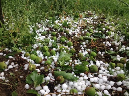 Gürcüstanda dolu yağıb