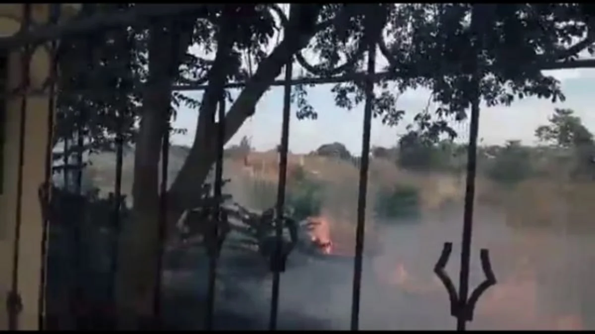 Dərbəndin Nizami Gəncəvi parkı ərazisində yanğın baş verib - VİDEO