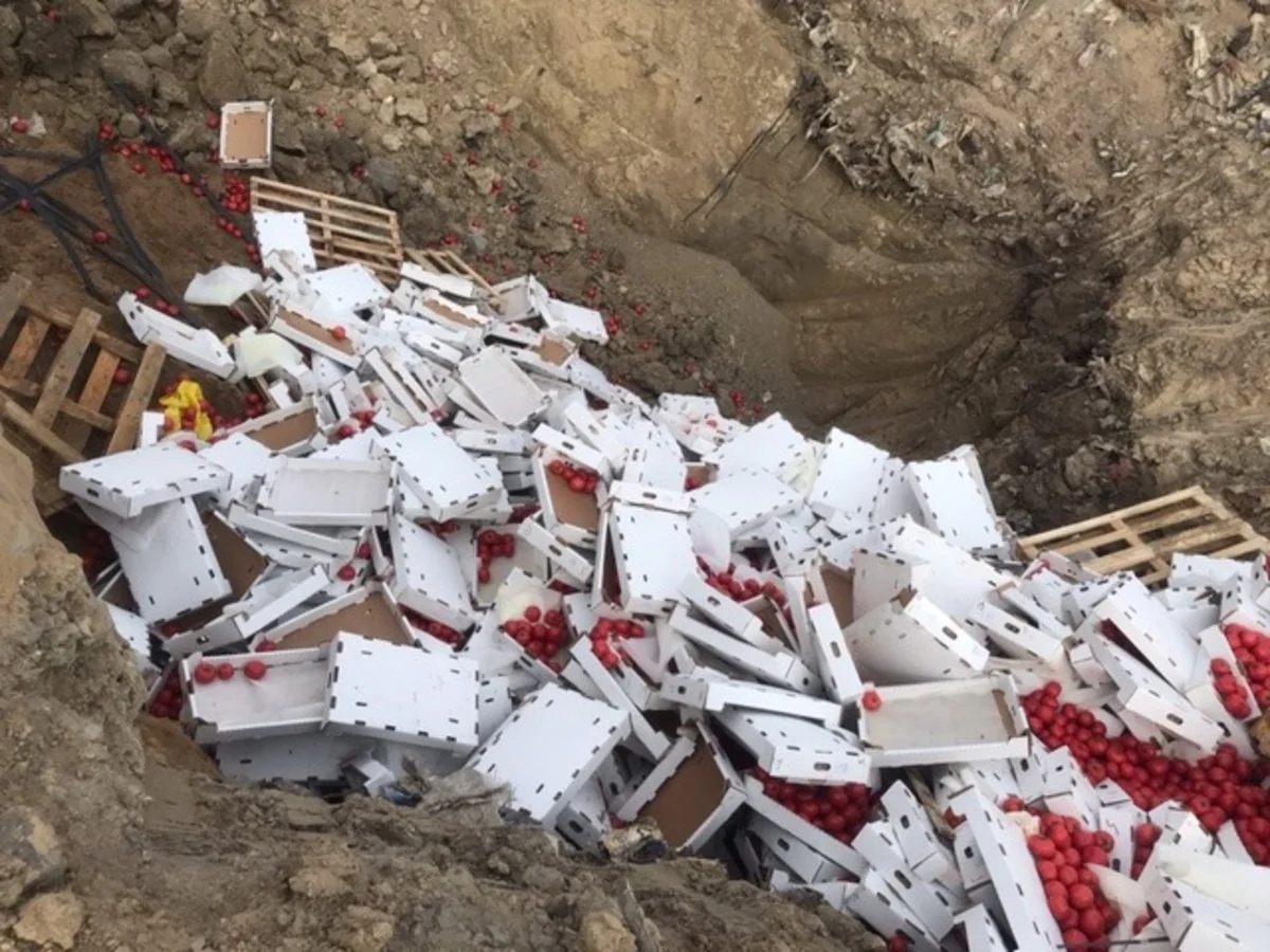 В туркменских помидорах обнаружили вирус