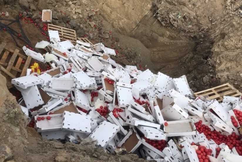 Türkmənistandan gətirilən pomidorda virus aşkarlanıb, məhsul partiyası məhv edilib