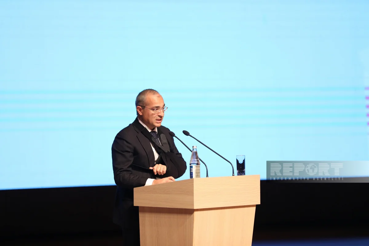 Azerbaijan invested nearly $20B in Turkish economy 