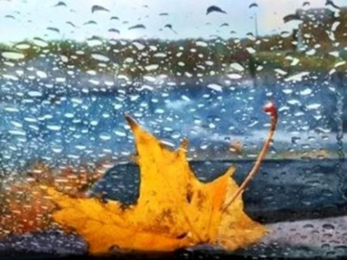 Первый день рабочей недели в Азербайджане выдастся ветреным и холодным