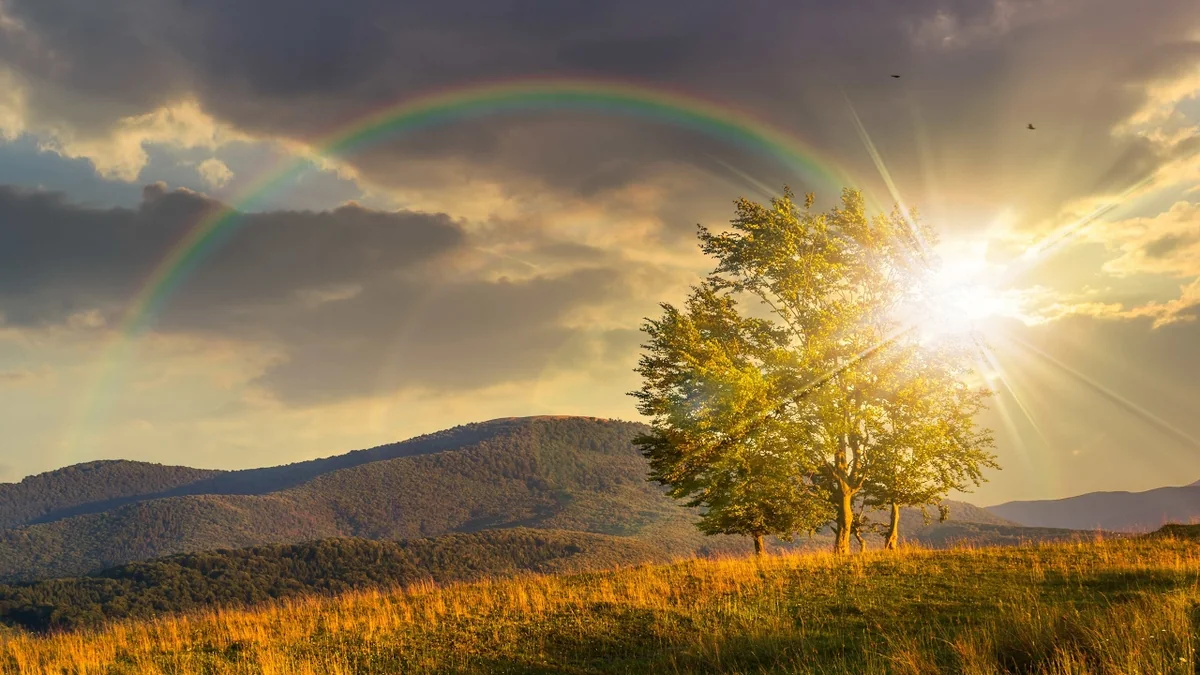 Sabahın hava proqnozu açıqlanıb