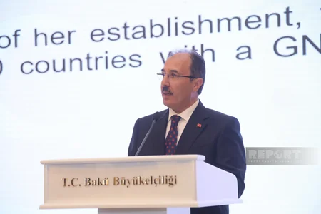 Bakıda Türkiyə Cümhuriyyətinin elan edilməsinin 100 ili münasibətilə rəsmi ziyafət verilib - YENİLƏNİB