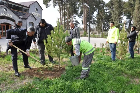 “Heydər Əliyev İli” çərçivəsində Biləsuvarda ağacəkmə aksiyası keçirilib