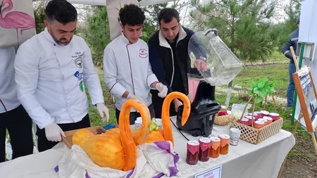 Flamingo Festival celebrates biodiversity in Azerbaijan's Gyzylagach National Park