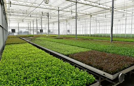 İlham Əliyev və Mehriban Əliyeva “Grand-Agro İnvitro” MMC-nin müəssisəsi ilə tanış olub