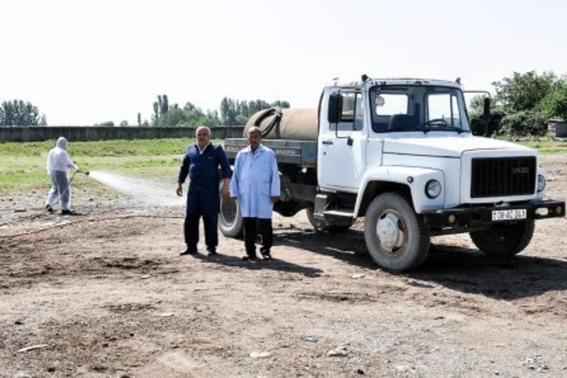 Azərbaycanda qurbanlıq heyvanların satışına icazə verilmiş yerlərdə dezinfeksiya tədbiri başa çatdırılıb