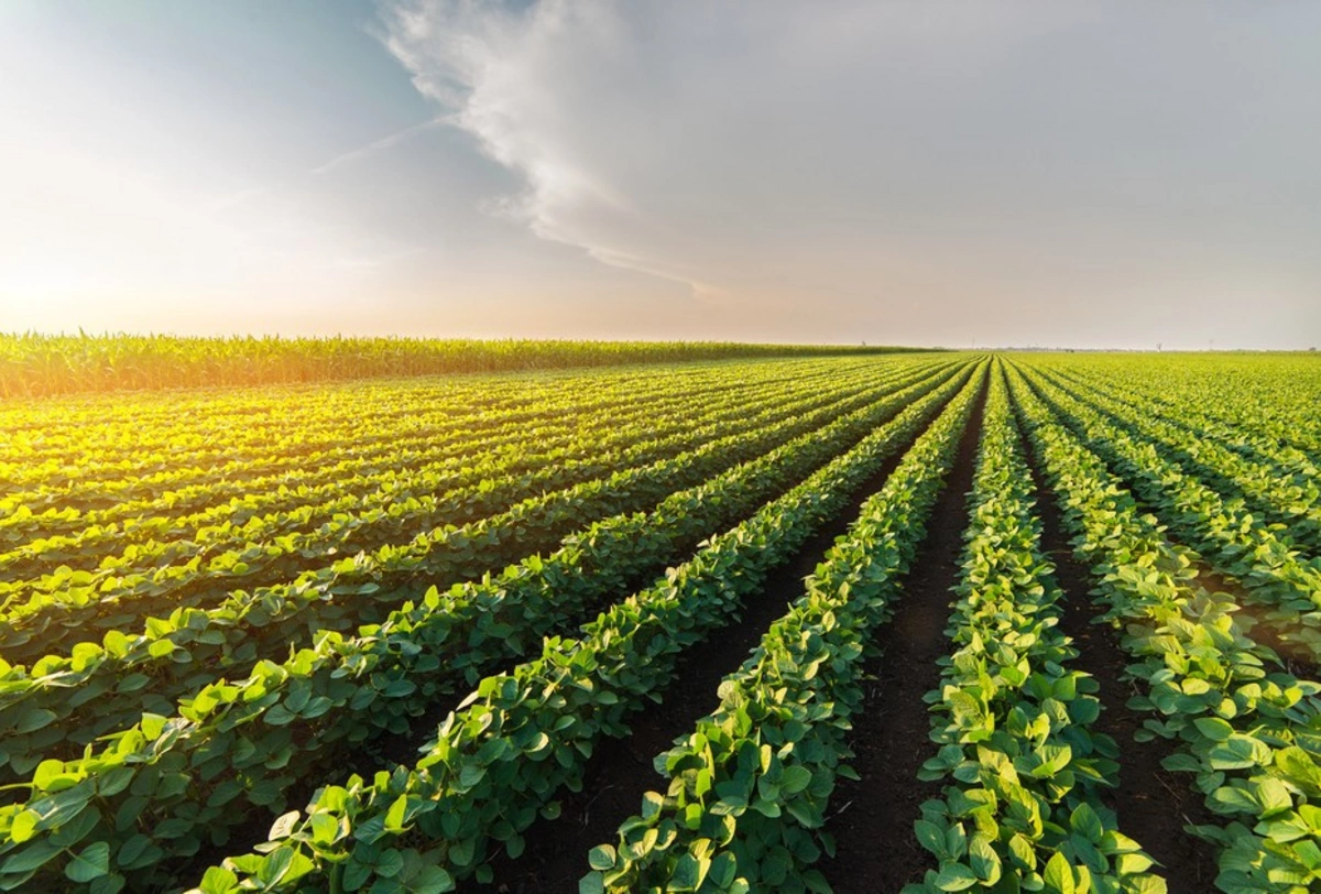 EU allocates grant to agrarian sector in Azerbaijan
