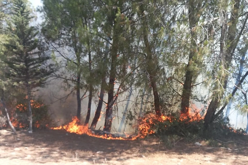 Laçının Güləbird kəndində mürəkkəb relyefli dağlıq ərazidə yanğın olub