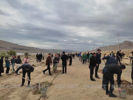 Bakıda Beynəlxalq Bitki Sağlamlığı Günü münasibətilə ağacəkmə aksiyası keçirilib