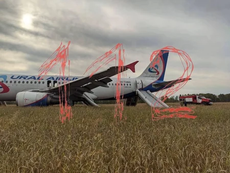 При аварийной посадке Airbus в Новосибирской области пострадали пять человек