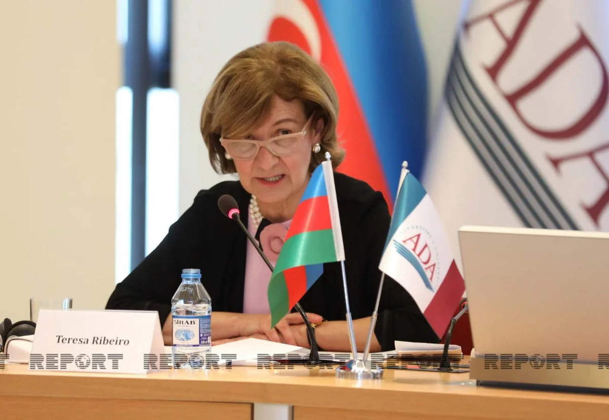 ATƏT nümayəndəsi: “Media sahəsində Azərbaycanla konstruktiv əməkdaşlıq edirik”